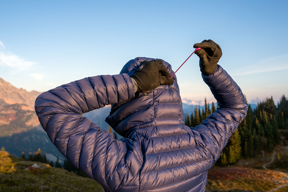 Patagonia Down Sweater Hoody (cinching hood)